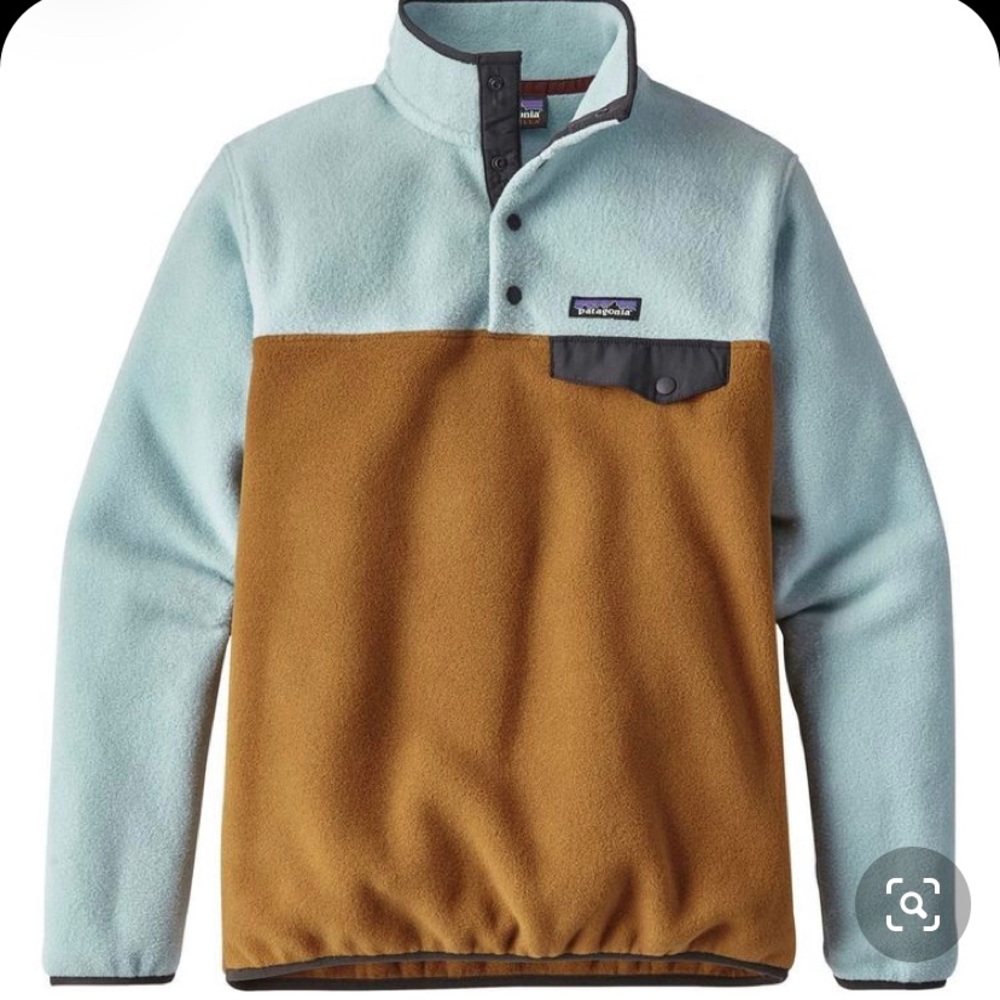 Patagonia Lightweight Synchilla Snap-T- Brown Bear